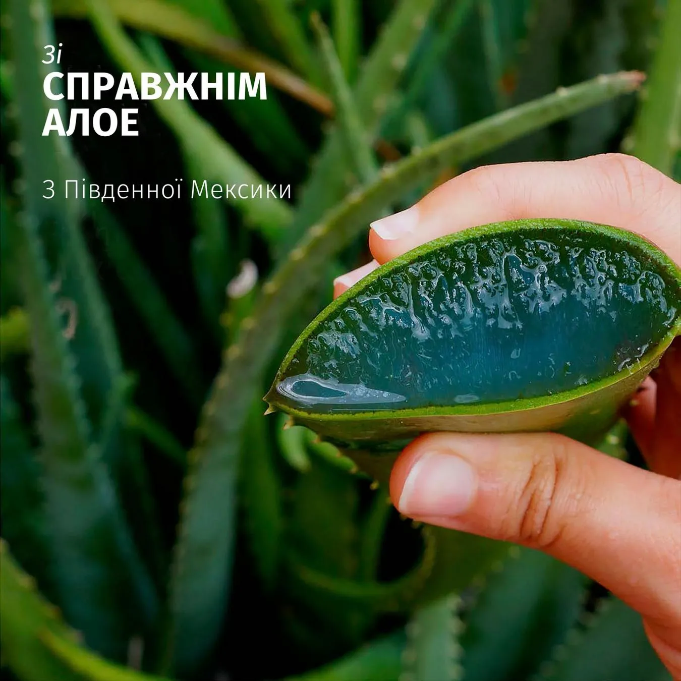 Додаткова фотка товара