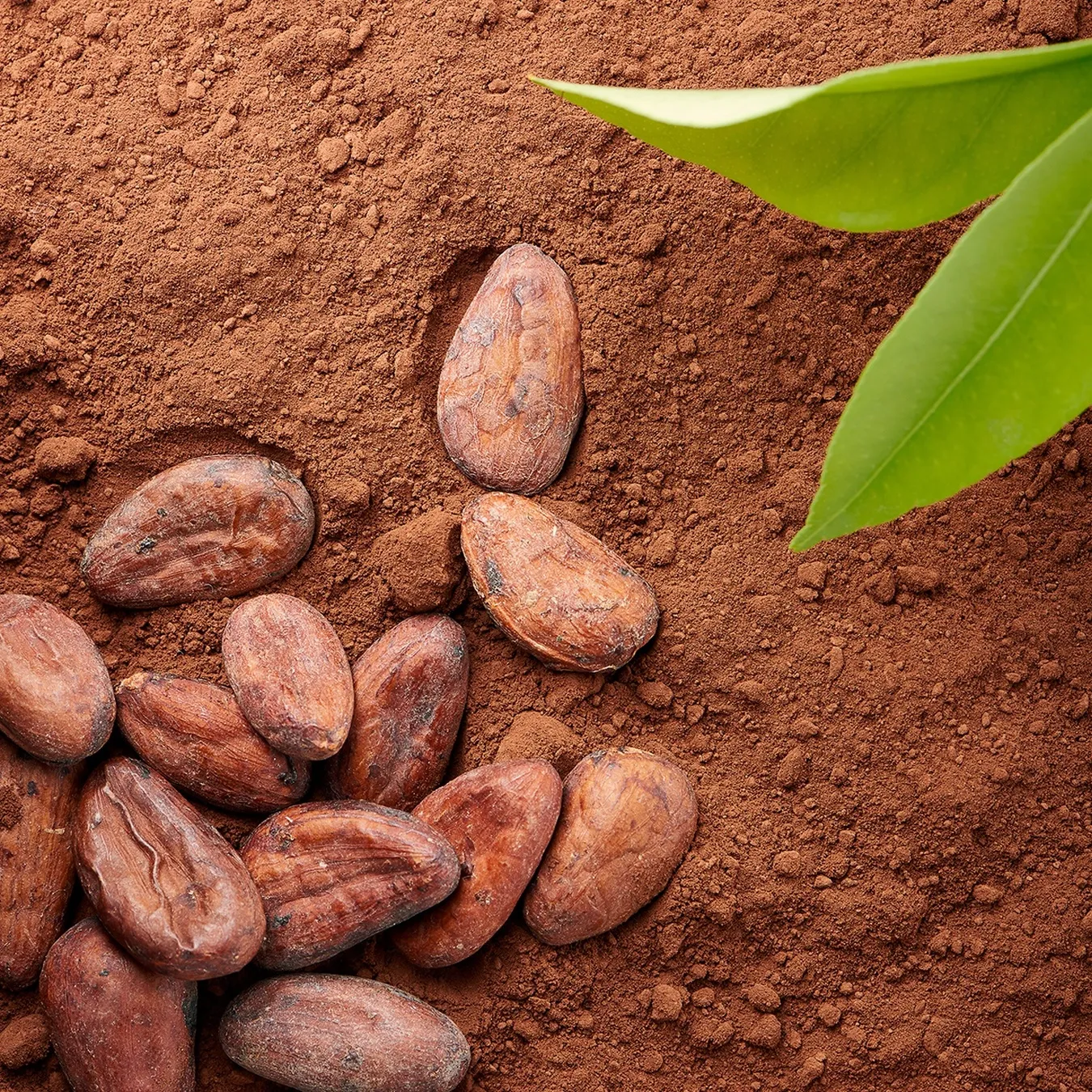 Додаткова фотка товара