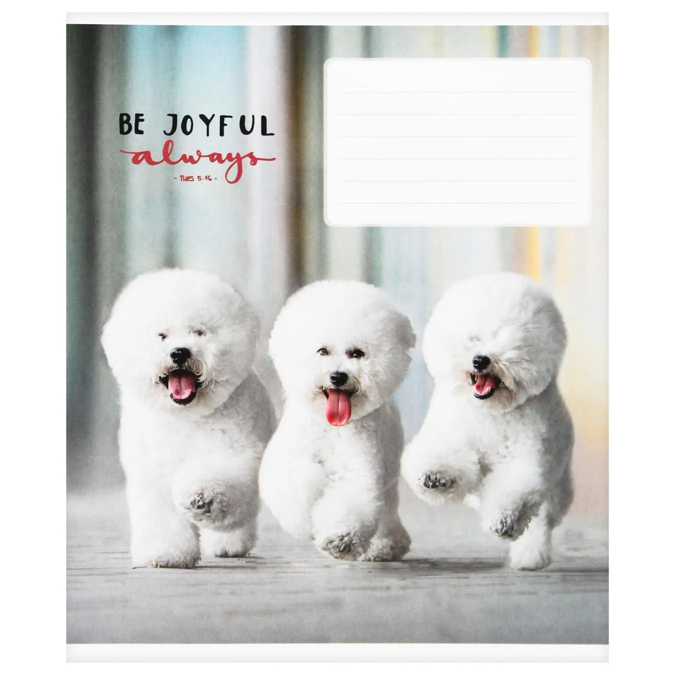 Додаткова фотка товара