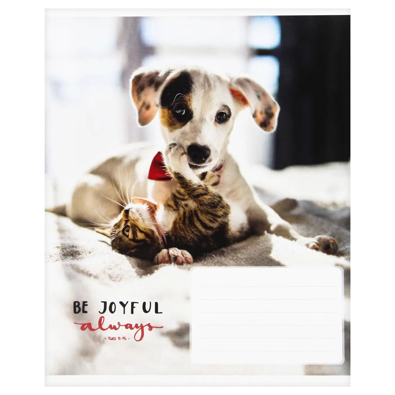 Додаткова фотка товара