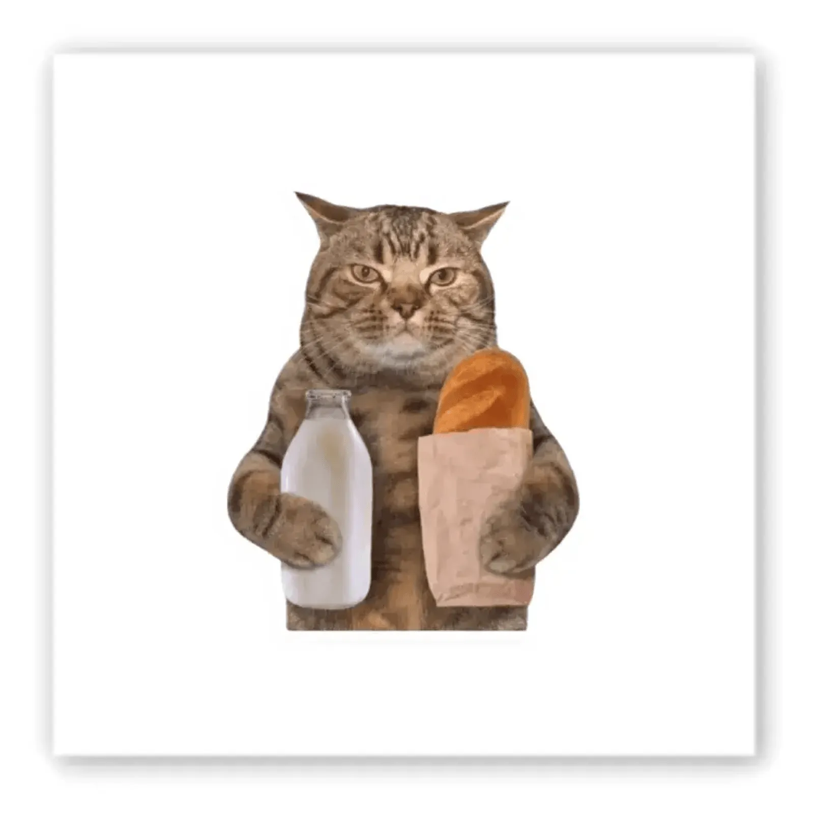 Додаткова фотка товара