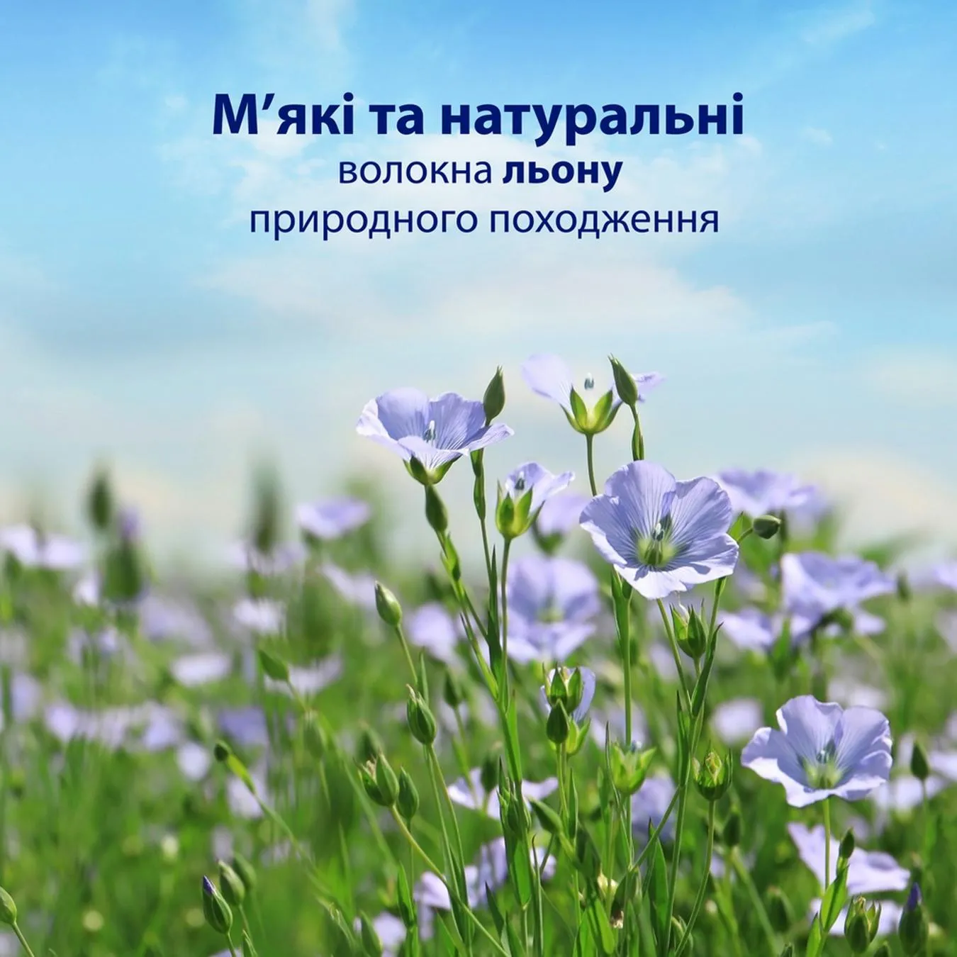 Додаткова фотка товара